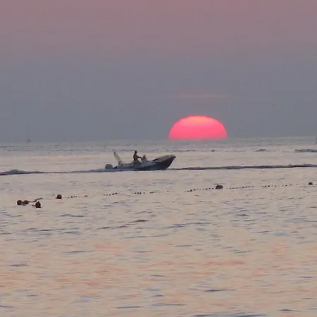 And Lucac Manus * Split