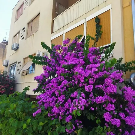 Lucac Manus Apartman *