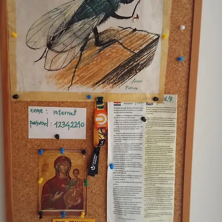 And Lucac Manus Lejlighed Split