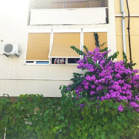 And Lucac Manus Apartment *
